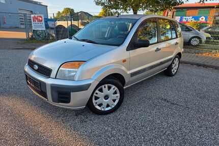 Ford Fusion Gebrauchtwagen