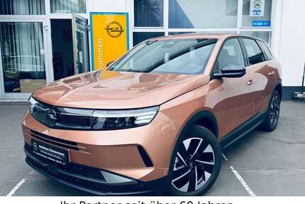 Opel Grandland X Gebrauchtwagen