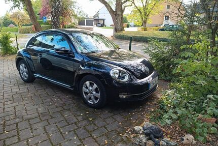 VW Beetle Gebrauchtwagen