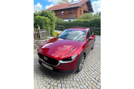 Mazda CX-30 Gebrauchtwagen