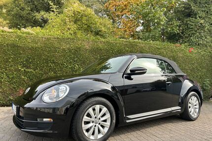 VW Beetle Gebrauchtwagen