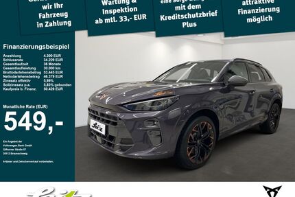 Cupra Terramar Gebrauchtwagen