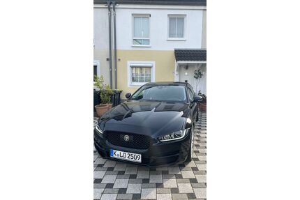 Jaguar XE Gebrauchtwagen