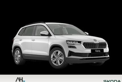 Skoda Karoq Gebrauchtwagen