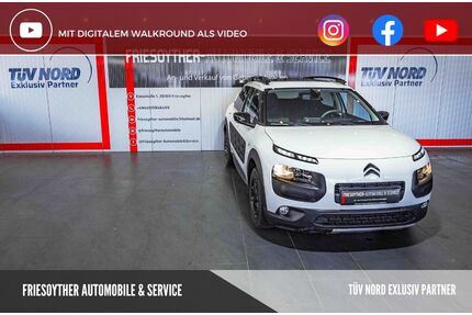 Citroen C4 Cactus Gebrauchtwagen