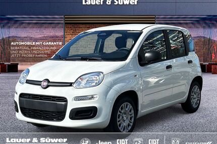 Fiat Panda Gebrauchtwagen