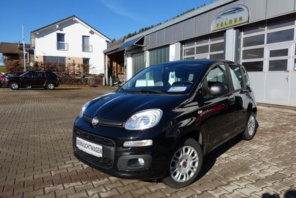 Fiat Panda Gebrauchtwagen