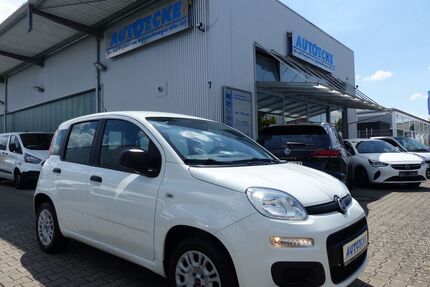Fiat Panda Gebrauchtwagen