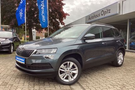 Skoda Karoq Gebrauchtwagen