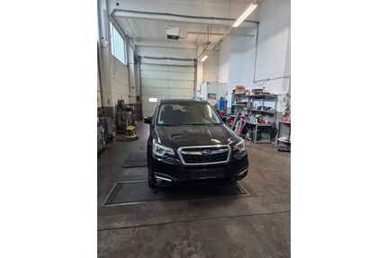 Subaru Forester Gebrauchtwagen
