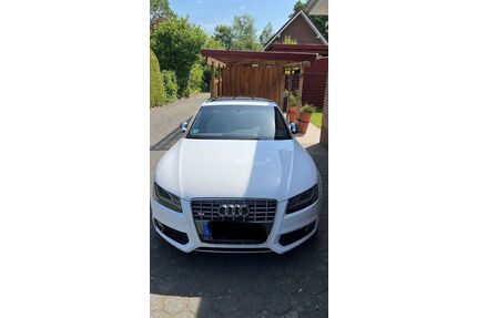 Audi S5 Gebrauchtwagen