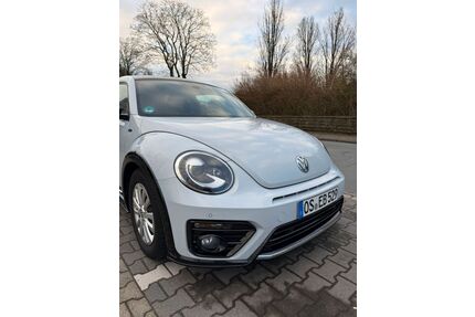 VW Beetle Gebrauchtwagen