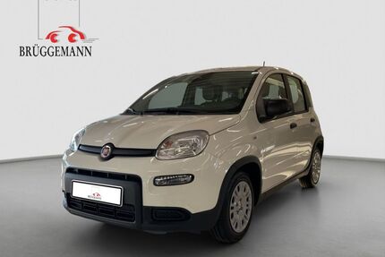 Fiat Panda Gebrauchtwagen