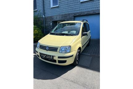 Fiat Panda Gebrauchtwagen
