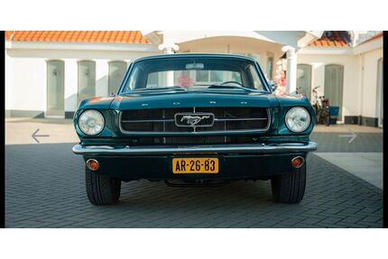 Ford Mustang Gebrauchtwagen