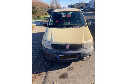 Fiat Panda Gebrauchtwagen