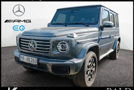 Mercedes-Benz G 450 Gebrauchtwagen