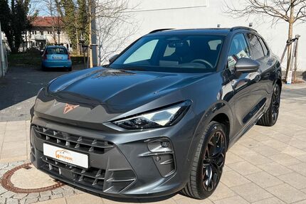 Cupra Terramar Gebrauchtwagen