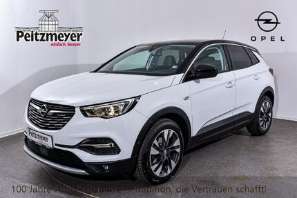 Opel Grandland (X) Gebrauchtwagen