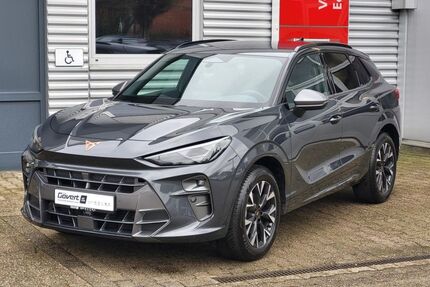 Cupra Terramar Gebrauchtwagen