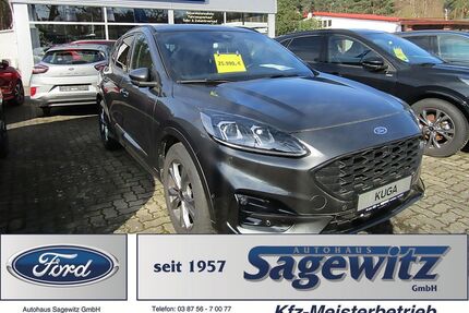 Ford Kuga Gebrauchtwagen