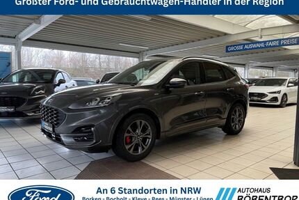 Ford Kuga Gebrauchtwagen