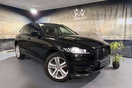 Jaguar F-Pace Gebrauchtwagen