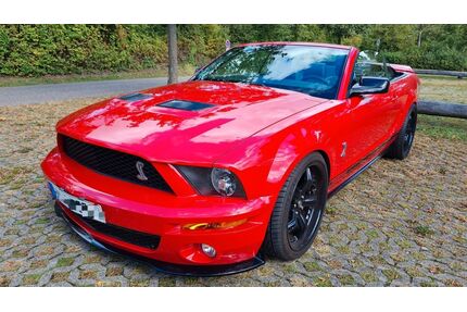 Ford Mustang Gebrauchtwagen