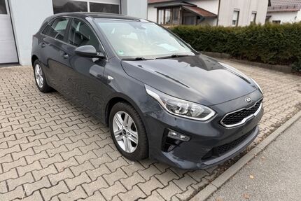 Kia ceed / Ceed Gebrauchtwagen
