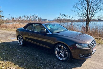 Audi A5 Gebrauchtwagen
