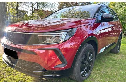 Opel Grandland (X) Gebrauchtwagen