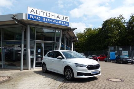 Skoda Fabia Gebrauchtwagen