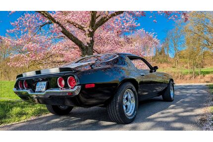 Chevrolet Camaro Gebrauchtwagen