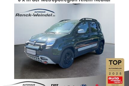 Fiat Panda Gebrauchtwagen