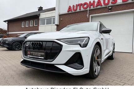 Audi e-tron Gebrauchtwagen