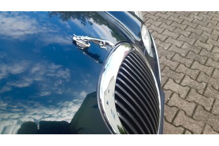 Jaguar S-Type Gebrauchtwagen