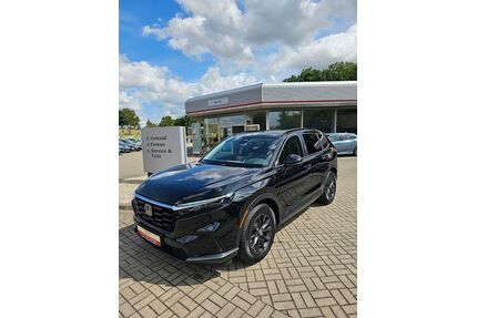 Honda CR-V Gebrauchtwagen