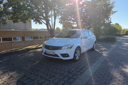 Kia ceed / Ceed Gebrauchtwagen