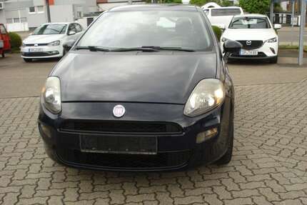 Fiat Punto Gebrauchtwagen