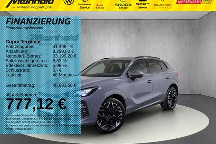 Cupra Terramar Gebrauchtwagen