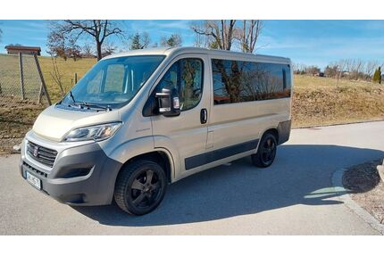 Fiat Ducato Gebrauchtwagen