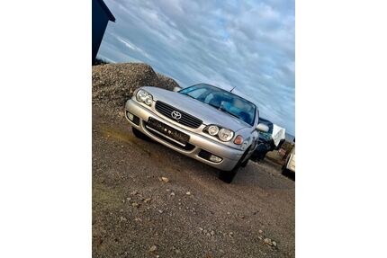 Toyota Corolla Gebrauchtwagen