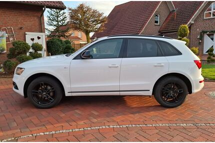 Audi Q5 Gebrauchtwagen