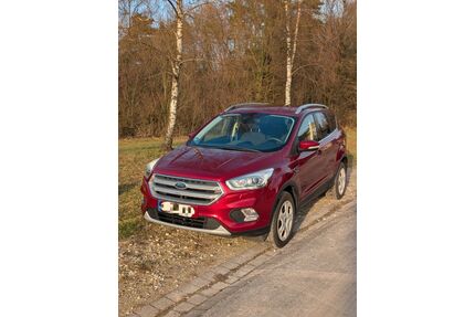 Ford Kuga Gebrauchtwagen
