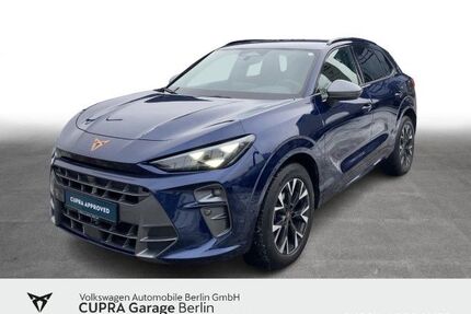 Cupra Terramar Gebrauchtwagen