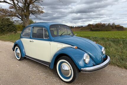 VW Käfer Gebrauchtwagen