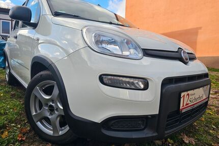 Fiat Panda Gebrauchtwagen