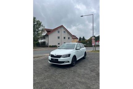 Skoda Fabia Gebrauchtwagen