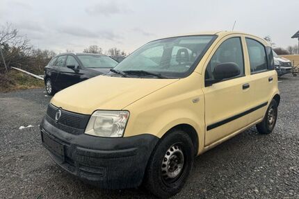 Fiat Panda Gebrauchtwagen