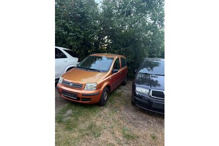 Fiat Panda Gebrauchtwagen